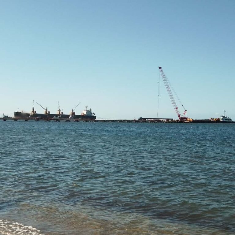 Bahía de Manzanillo muere: entre promesas de “Desarrollo”, pescadores y ecoturismo sin futuro y un paraíso en agonía