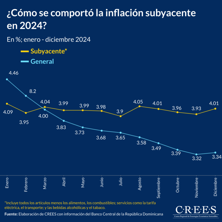 CREES advierte sobre la necesidad de cambios estructurales para resguardar la economía dominicana en 2025