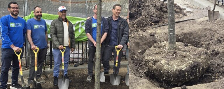 (VIDEO) Congresista Espaillat conmemora Día de la Tierra y siembra un árbol en el Alto Manhattan
